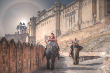 halo over elephants Amer Fort Jaipur