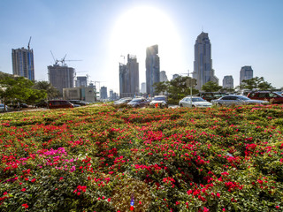 Fototapeta premium Dubai Marina, United Arab Emirates, Dubai