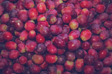 Tropical Fruit Grapes