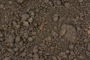 close up of soil background.