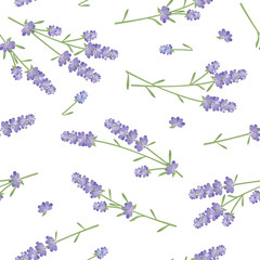 Seamless pattern of lavender flowers on white background template. Vector set of blooming floral for holiday invitations, greeting card and fashion design.