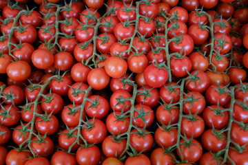 Fresh cherry tomatoes on a market in Berlin-Germany