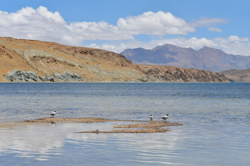 China, Tibet, the sacred lake for Buddhists Manasarovar