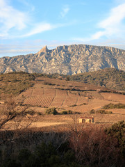 Château de Quéribus