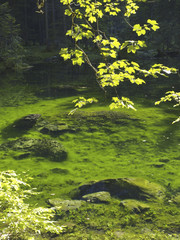 Lake Gosausee, mountain Dachstein, Austria, Upper Austria, Dachs