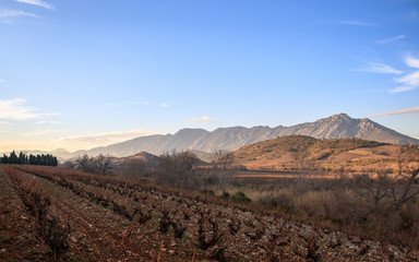 Château de Quéribus