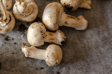 freshly harvested dirty mushrooms spread on paper, raw and healthy vegetables