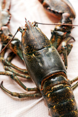 raw lobster on table