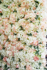 Flower garland on the wall. Dense wall of flowers. Wedding photo zone. Romantic space decor