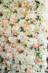 Fototapeta premium Flower garland on the wall. Dense wall of flowers. Wedding photo zone. Romantic space decor