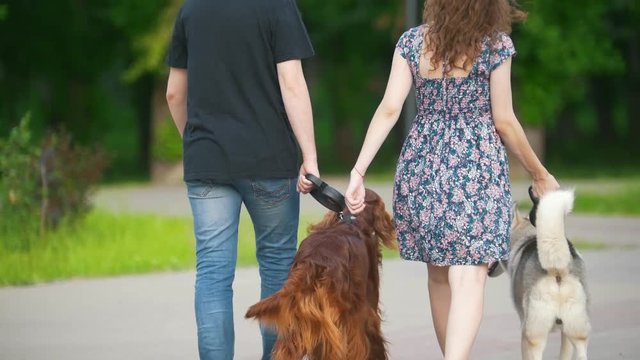 Family couple with pets dogs walking in park - man and woman walks with irish setter and husky
