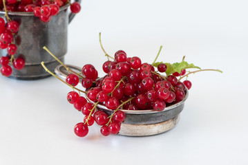 rote Johannisbeeren / rote Ribisel