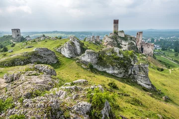 Photo sur Plexiglas Rudnes Olsztyn - ruines du château
