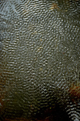 The texture of the ripples on the water. From of vibration, pulsation