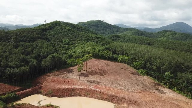 Deforestation of Indonesia rainforest 