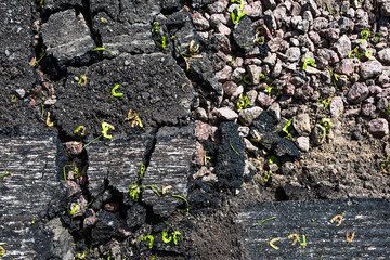 Background of the broken asphalt
