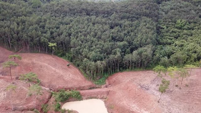 Deforestation of Indonesia rainforest 