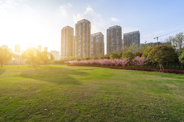 city skyline with park