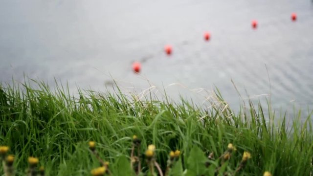 Out of focus buoyes floating in the ocean with grass in focus blowing in the wind in front of the shot.