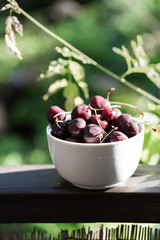 dessert, food, snack, cherries, cold, white, bowl, sweet, nature, background, green leafs, fresh, refreshing