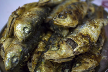 Grilled sardines close up