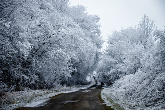 Route de Moselle en hiver avec les arbres blancs et la route partiellement enneigée.