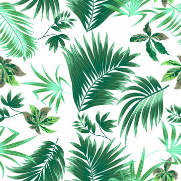 Seamless pattern tropical leaves of palm tree.