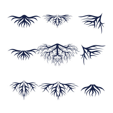 Root set Logo element. Corporate branding identity design template. Root design collection. Vector illustration