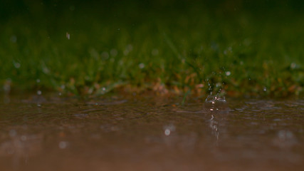 DOF: Beautiful shot of glassy raindrops falling into murky pond during rainstorm