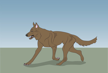 dog running, color, vector