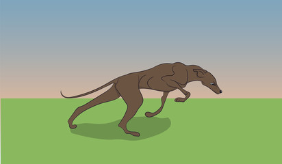 Obraz na płótnie Canvas dog running, color, vector