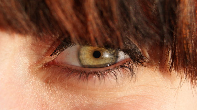 SONY DSC