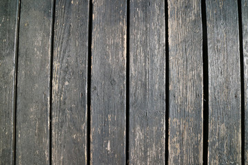 Wood texture, summer bright wood texture close up, wallpaper, background.