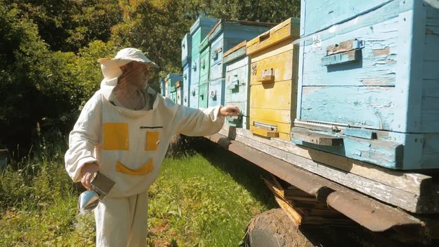 the beekeeper working in the apiary bees fly swarm multi colored beehive slow motion video. bee-maker beekeeper lifestyle man working of a smoke pipe beeper wooden hives smoker device for repelling