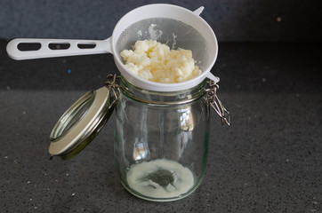 Organic probiotic Milk Kefir grains