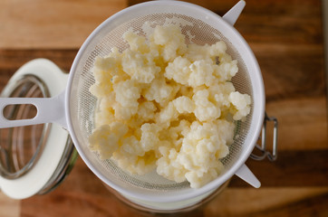 Organic probiotic Milk Kefir grains