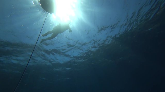 Nurkowanie Dahab