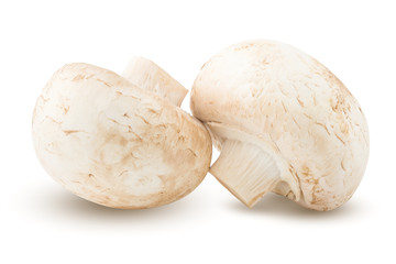 mushroom, champignon, isolated on white background, clipping path, full depth of field