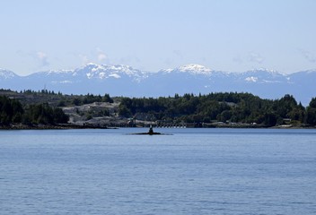scenic seascape along the shoreline of the Texada Island near Blubber Bay,  British Columbia Canada 