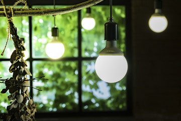 Emotional interior lighting bulbs/windows with green ivy vines/ Emotional interior light bulbs illuminate windows with green ivy vines