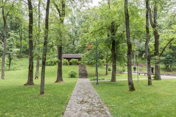 Obraz premium Japanese garden landscape