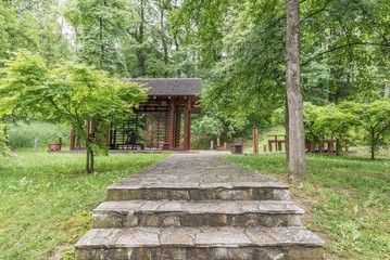 Japanese garden landscape