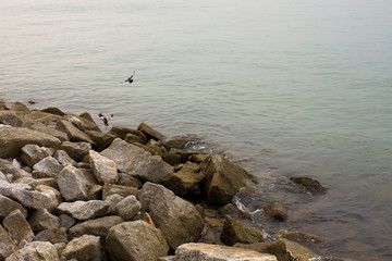 environements and sceneries at Padang Kota, Penang state, Malaysia