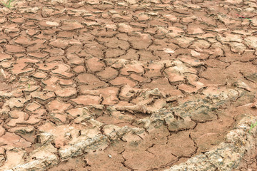 Land with dry and cracked ground.