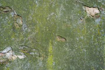 Wall with old plaster