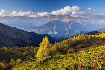 Autumn Landscape with a view of the top of the mountain