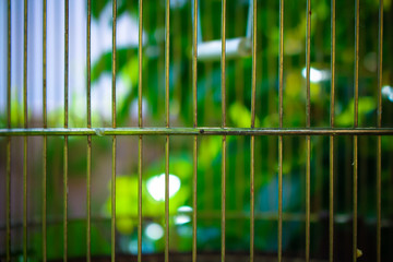 Granada, Spain; May 17, 2017: Bars of a bird cage