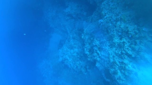 Nurkowanie Dahab
