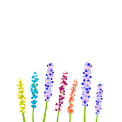 Lavender minimalistic colorful background