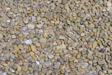 coastal pebbles on the beach close up